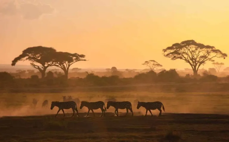 5 najlepších miest na dovolenku v Afrike