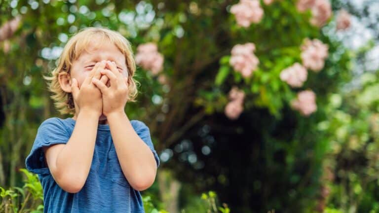 Where to Go with Allergy-Prone Children: Sea or Mountains?