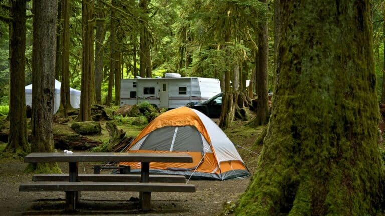 Campsites in Slovenia and Italy Where You Can Pitch Your Own Tent