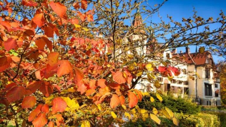 Čo zažiť v Zlíne: cesta okolo sveta za jeden deň