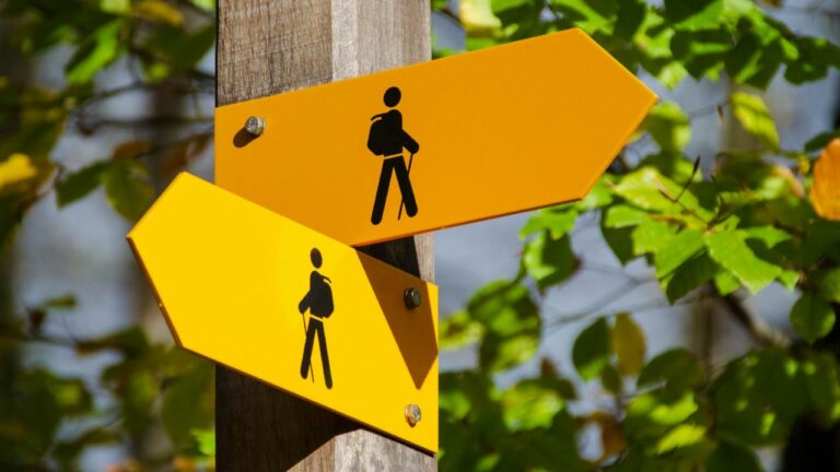 All inclusive or half board: Which is better?