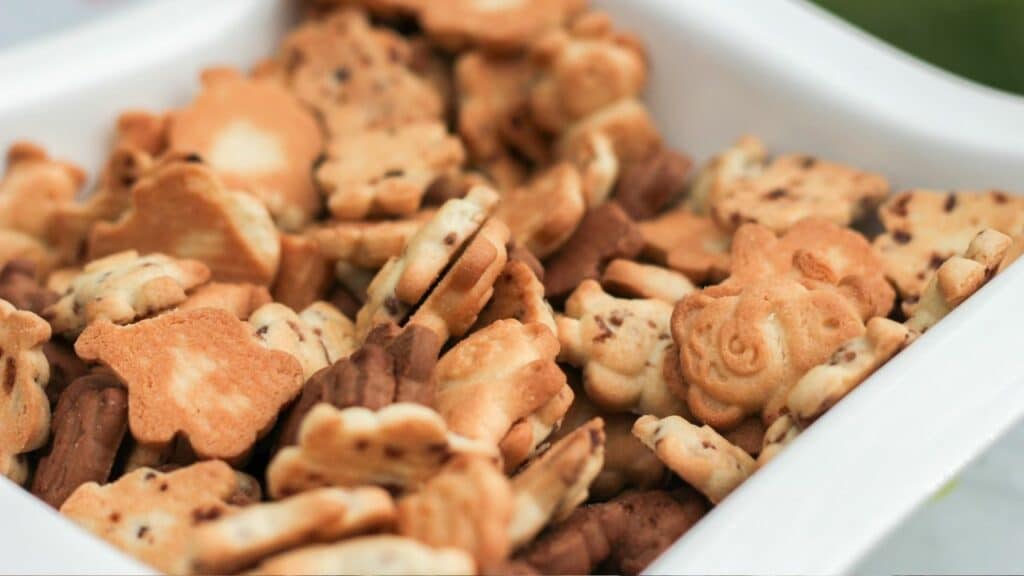 Snack pri cestovaní s deťmi