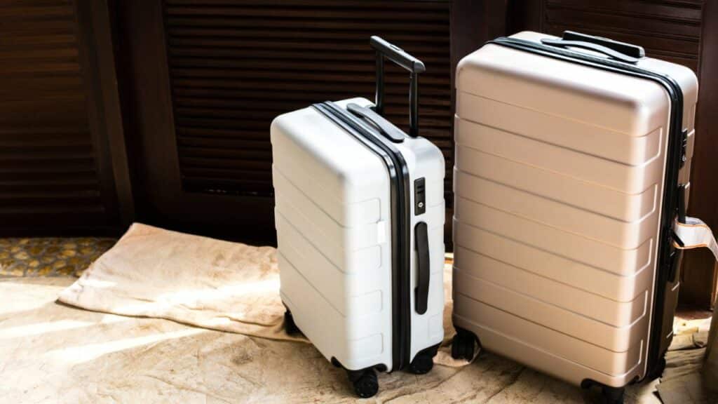 Luggage for the plane
